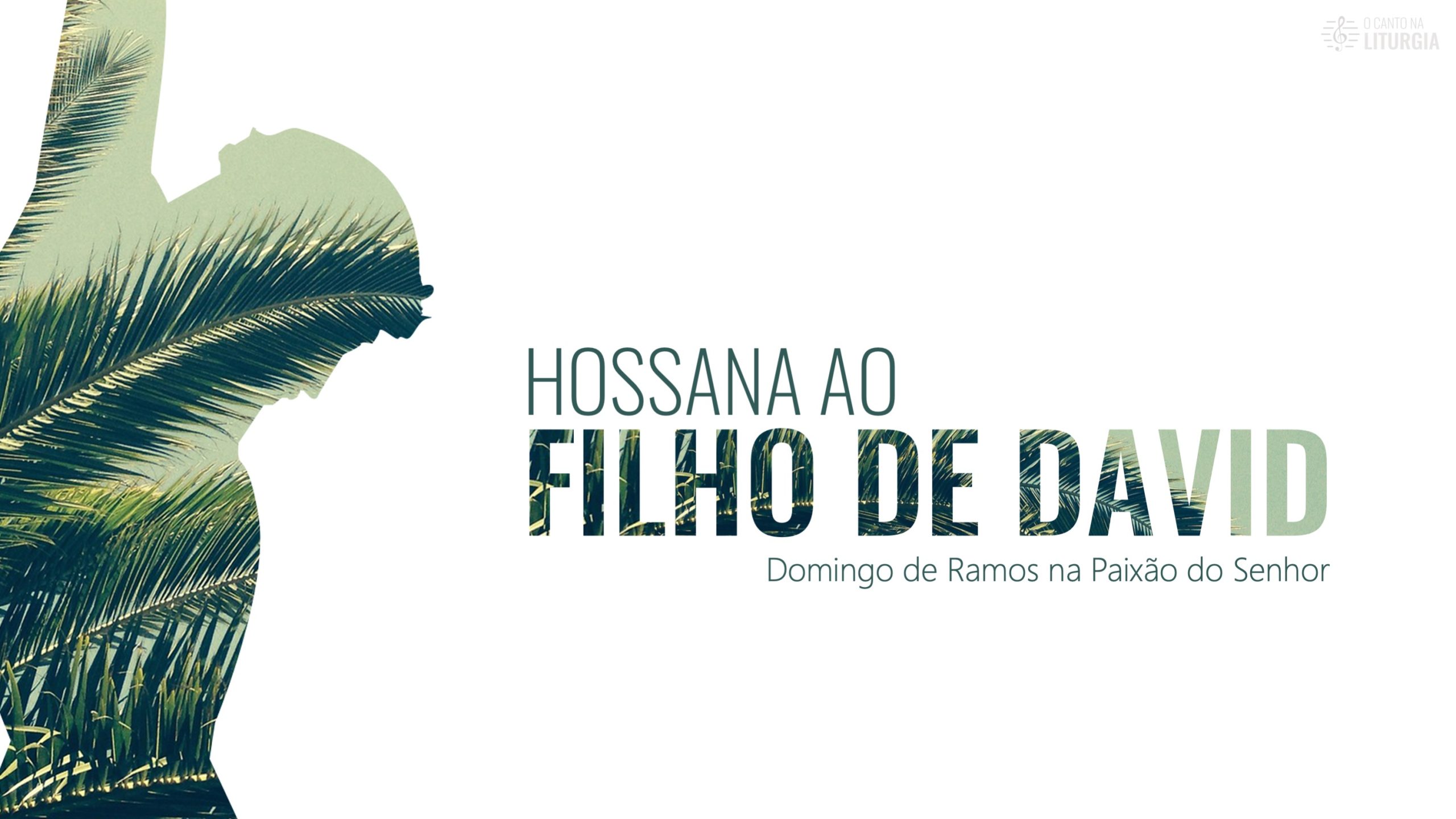 24 de março de 2024 – Domingo de Ramos na paixão do Senhor – Ano B –  Paróquia São Luis – Faro