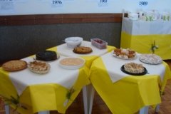 DSC00559