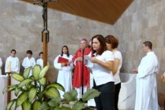 DSC00334
