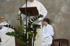 1_DSC00195