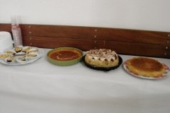 DSC00253
