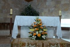 DSC09868