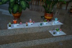 DSC06669