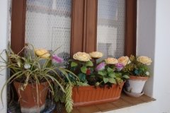 DSC00079