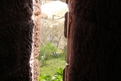 DSC00324