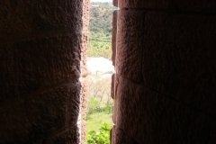 DSC00325
