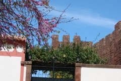 DSC00348