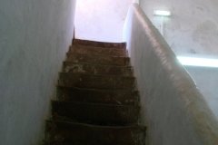 DSC00447