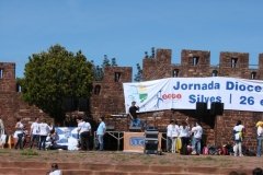 DSC00453