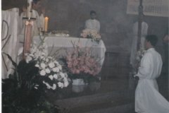 Digitalizar