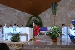 DSC00637