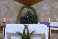 DSC00650