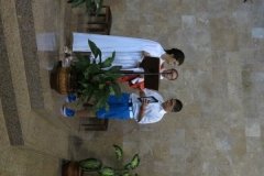 IMG_0648