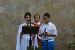 IMG_0650