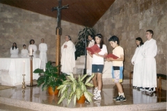digitalizar0041