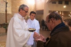 IMG_6950-Copia